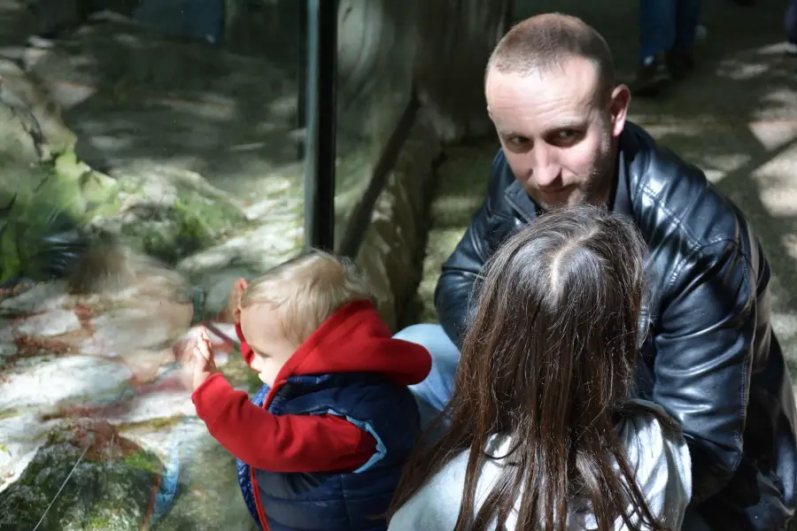 visiter le zoo de beauval - nature-voyage et enfant-blog de voyage