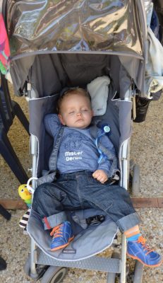 zoo de beauval en famille