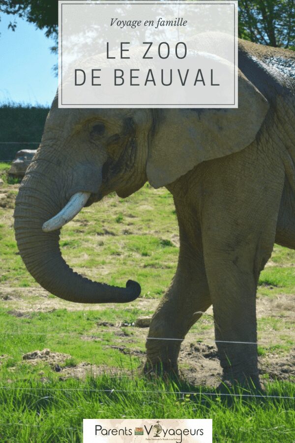 visiter Le Zoo de Beauval avec les enfants