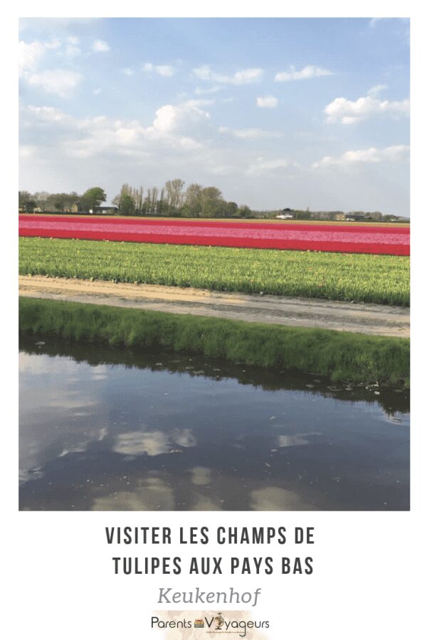 visiter les champs de tulipes aux pays bas. Keukenhof 2025
