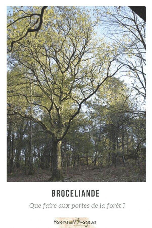 La forêt de Brocéliande en famille que voir/que faire ?