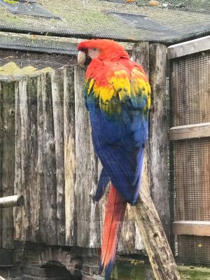 zoo de lille