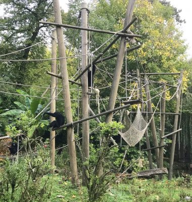 zoo de lille