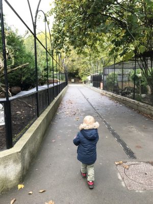 zoo de lille
