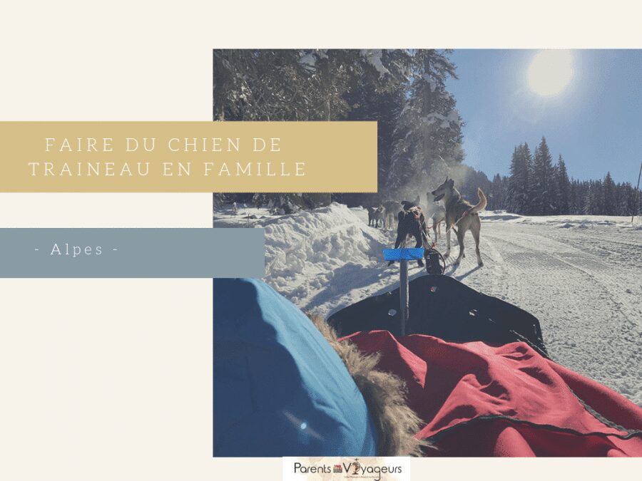 préparer vos voyages en famille  chiens de traineau
