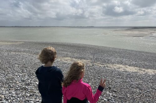 visiter la baie de somme en famille activites15