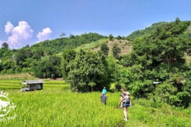 Partir 6 mois en Asie en famille – interview de Kiwi-Family – Podcast #36