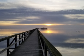 S’expatrier en Suède en famille – Podcast #61