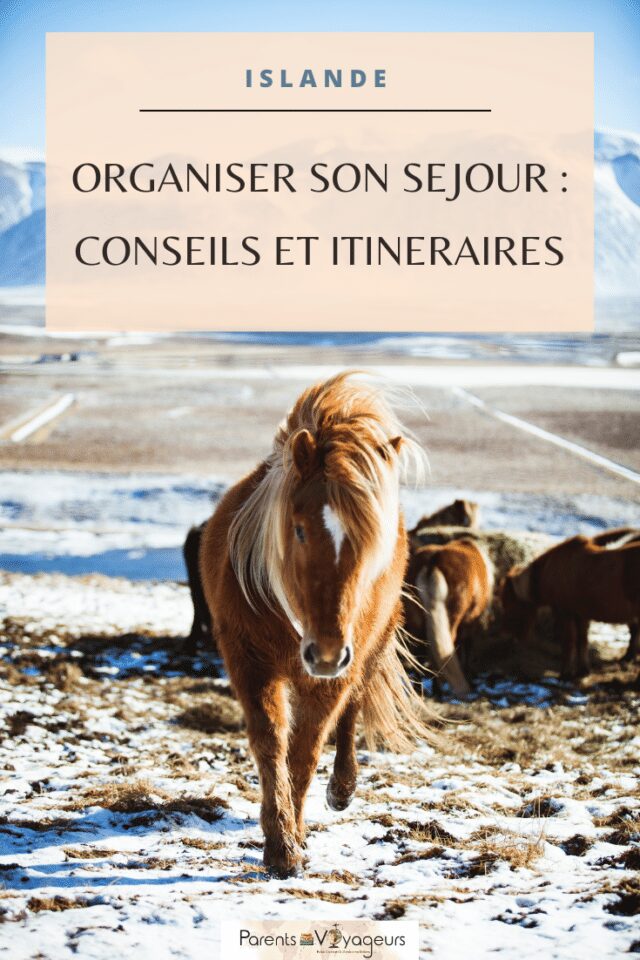 Organiser séjour islande - pin