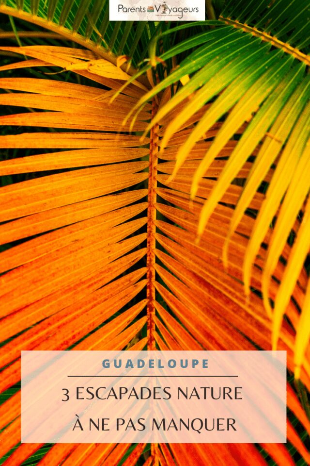 Escapades nature Guadeloupe - Pinterest