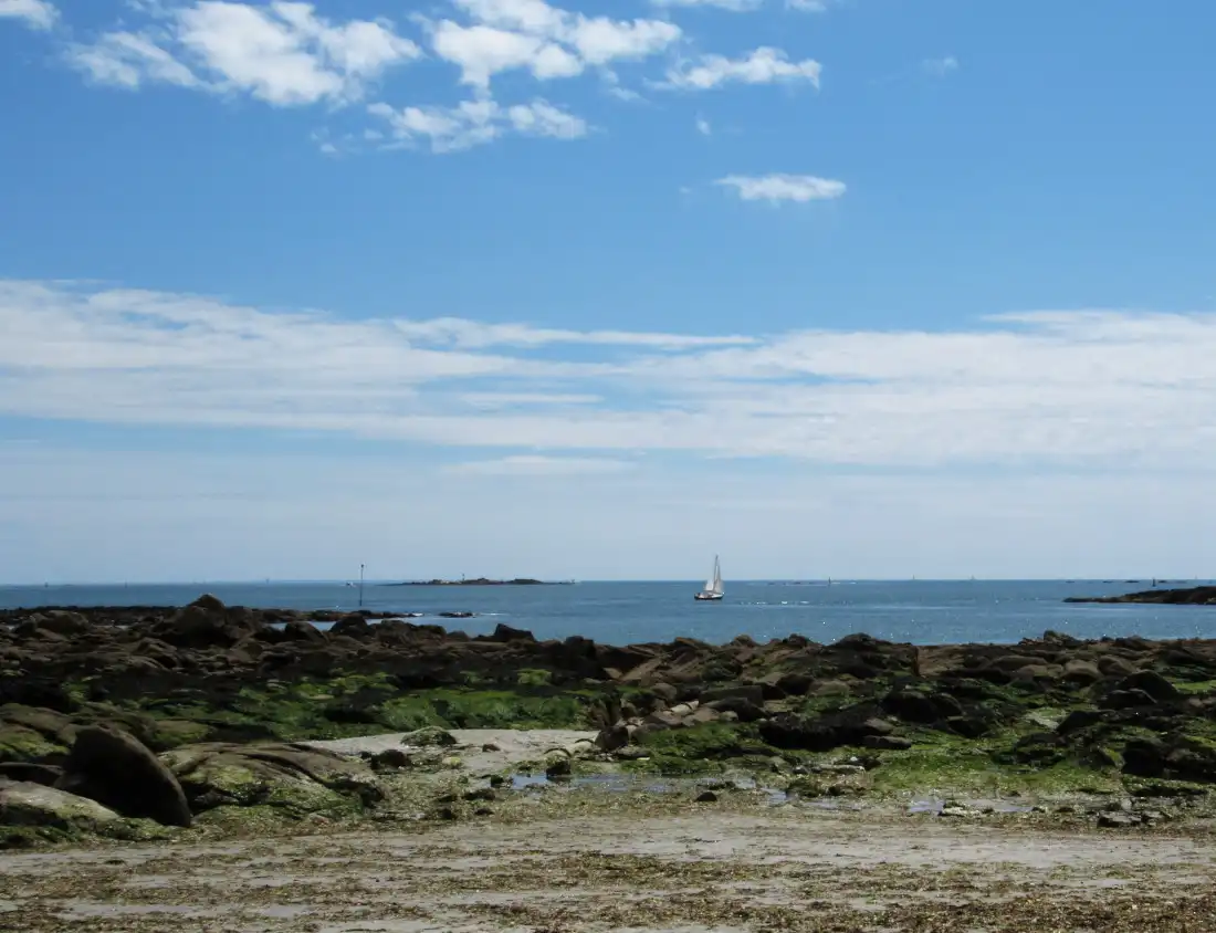 à visiter en famille dans la région de Carnac