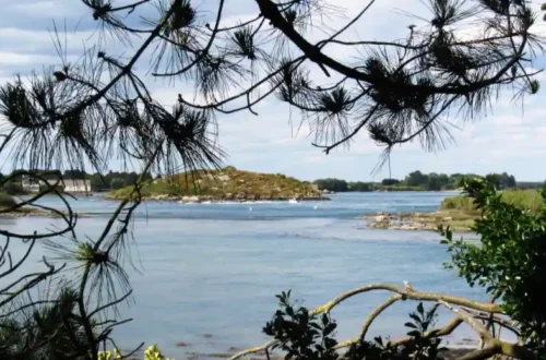 à visiter en famille dans la région de Carnac
