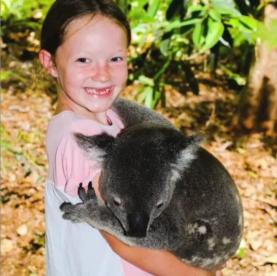 Voyage tour du monde enfants - Koala