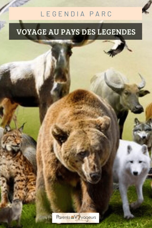 Legendia Parc en famille - Pinterest