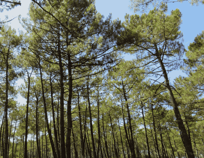 activités en famille quand il fait chaud