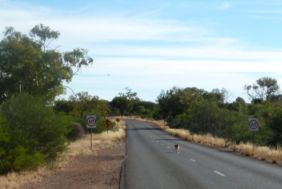 Préparer un road-trip en famille