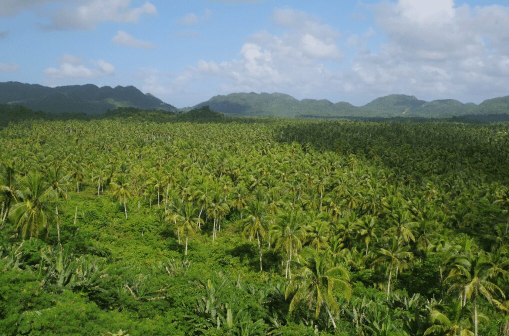 2 semaines aux Philippines en famille