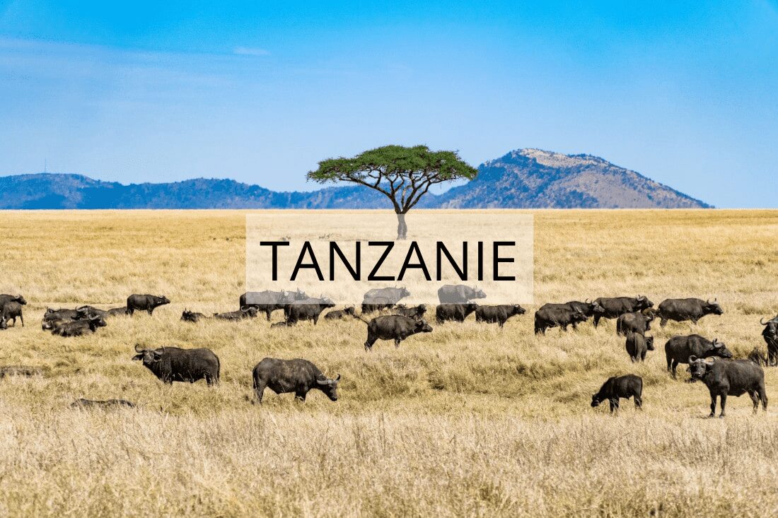 Tanzanie Afrique en famille