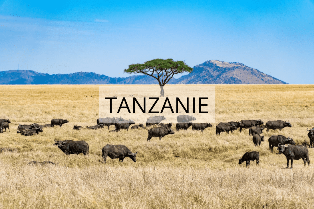 Afrique en famille