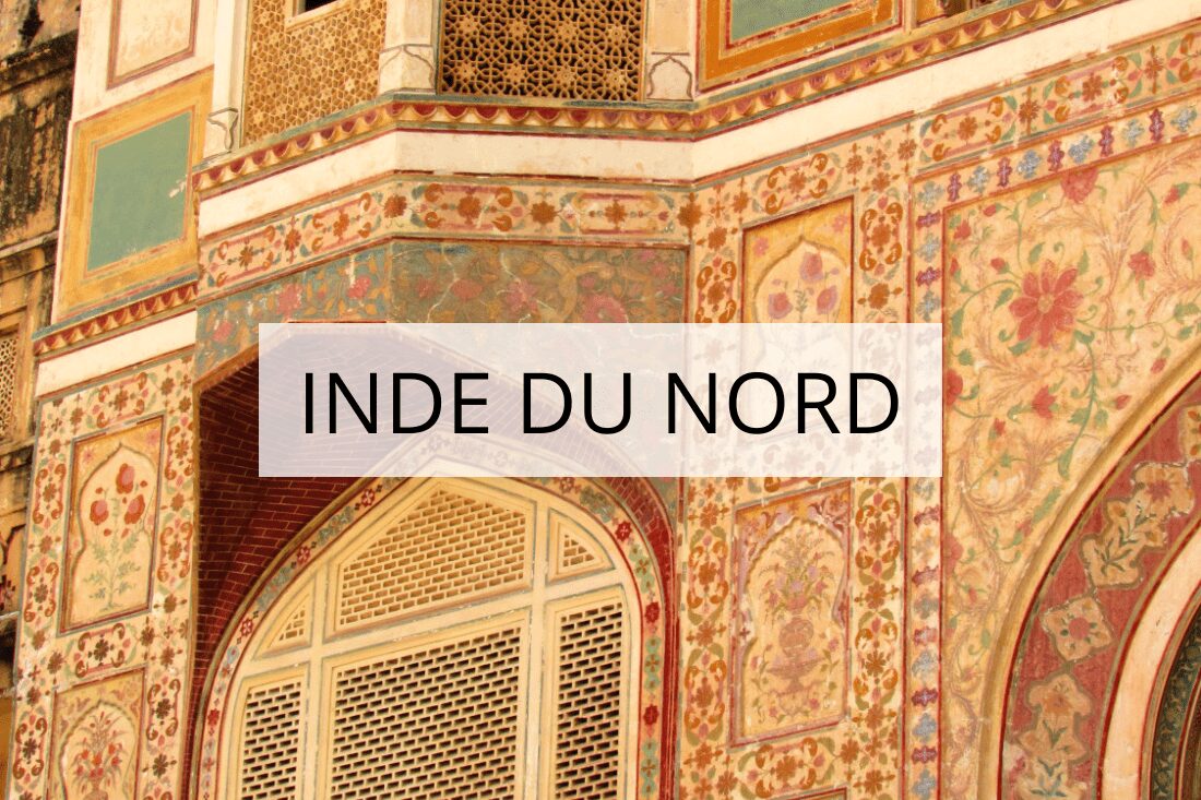 Inde en famille inde avec les enfants