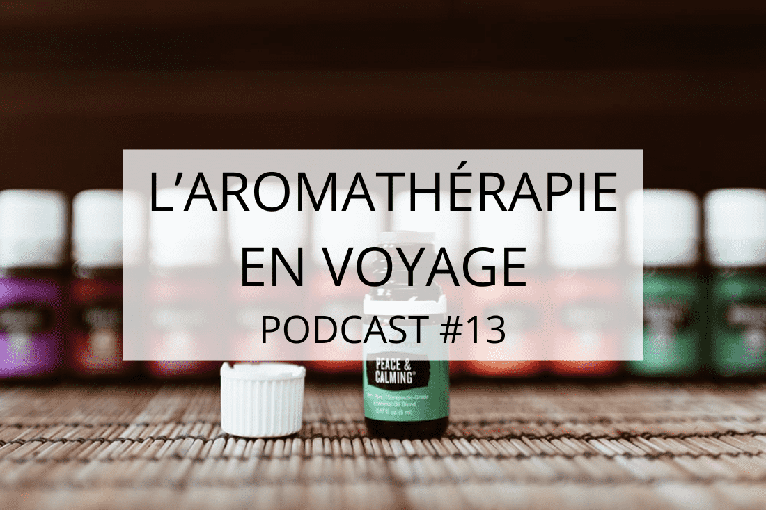 santé en voyage