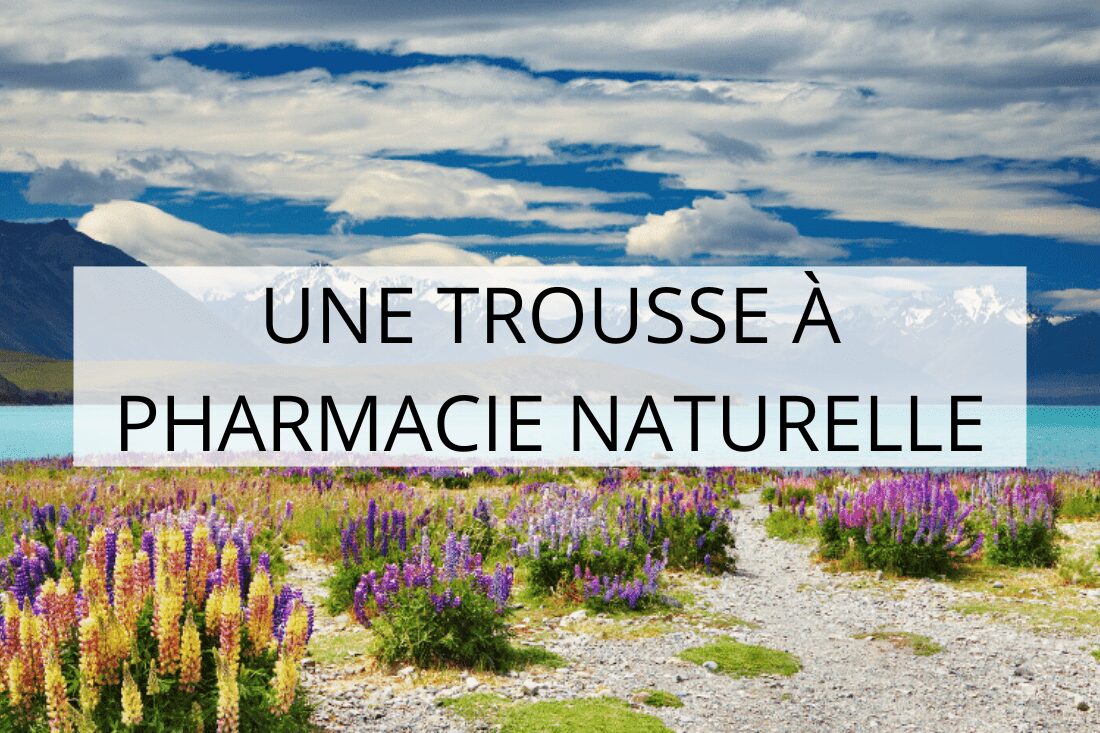 santé en voyage