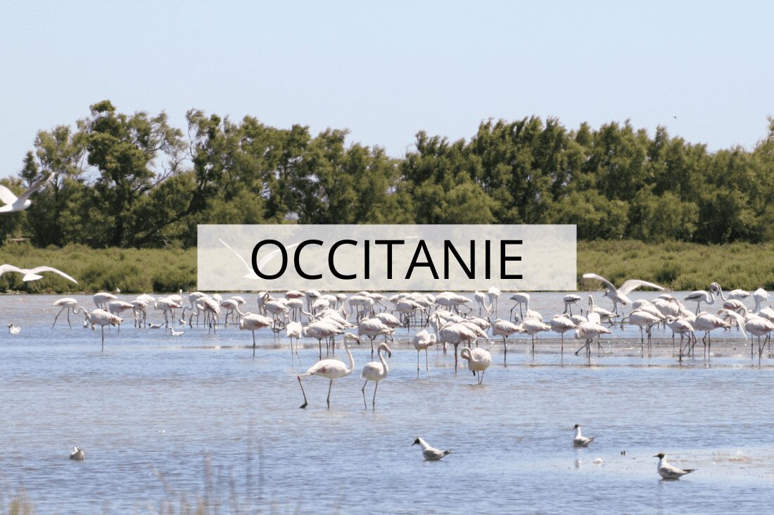 france en famille