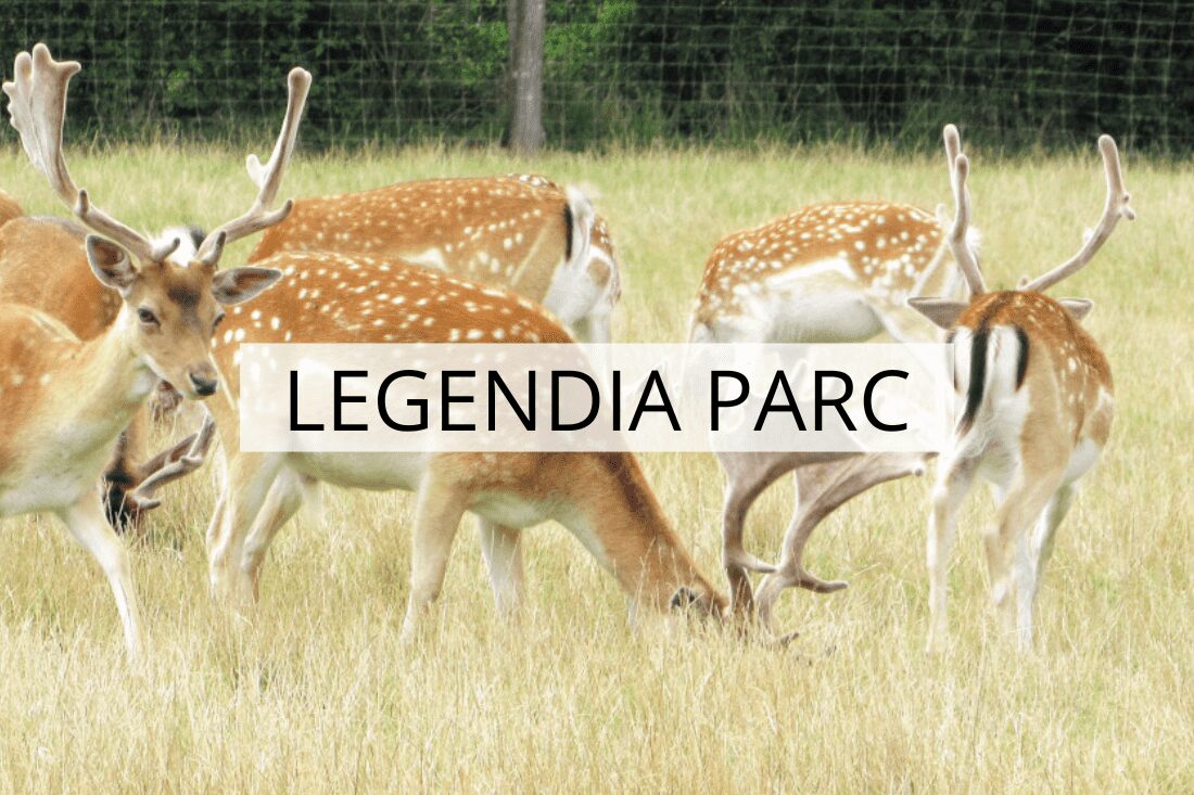 parcs à thème