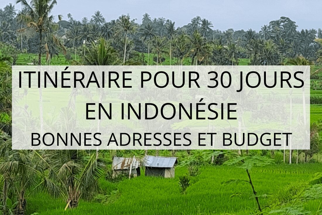 Indonésie en famille