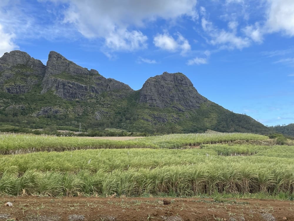 centre ile maurice