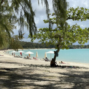 belle plage maurice mont choisy
