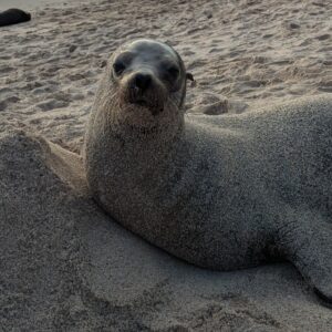 3 jours a san cristobal aux galapagos activités en famille aux Galápagos