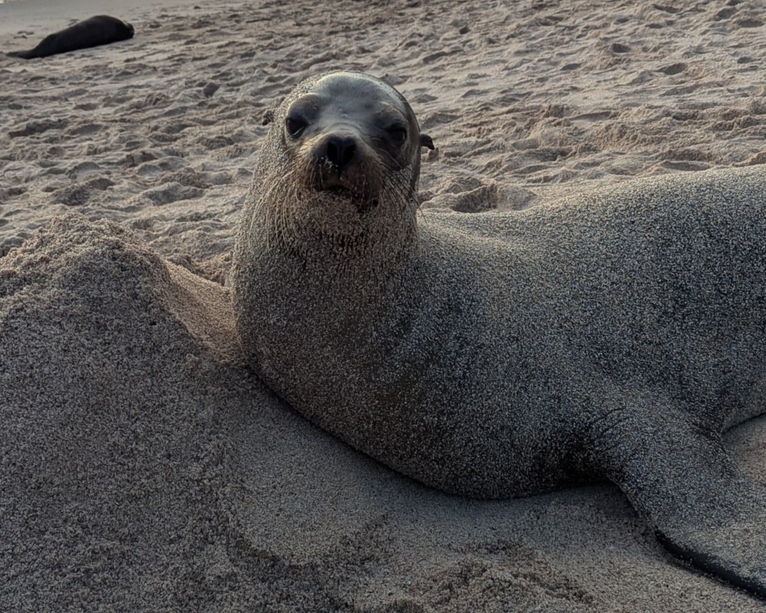 3 jours a san cristobal aux galapagos activités en famille aux Galápagos