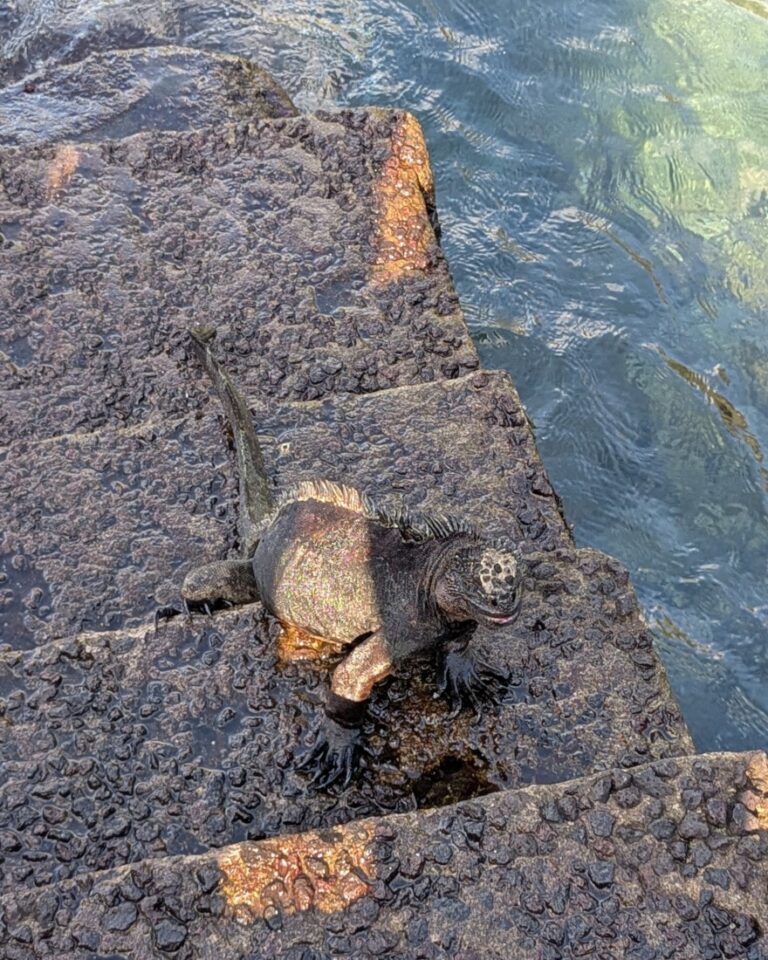 3 jours a san cristobal aux galapagos