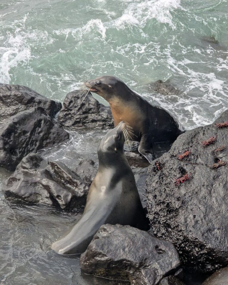 3 jours a san cristobal aux galapagos