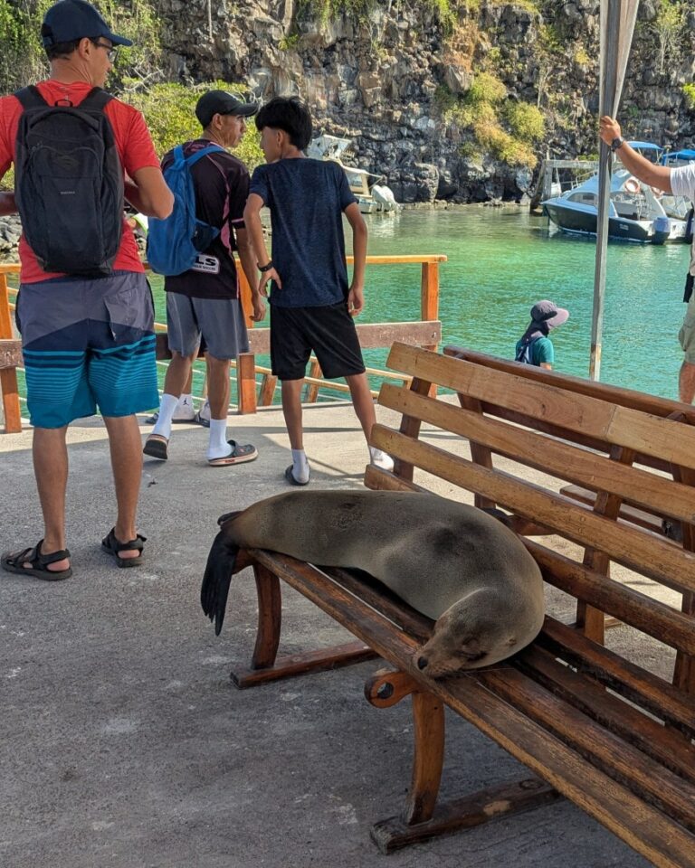 3 jours a santa cruz aux galapagos