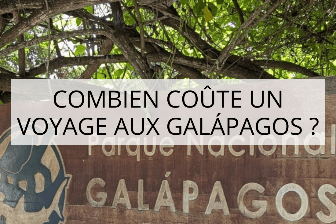 galapagos en famille