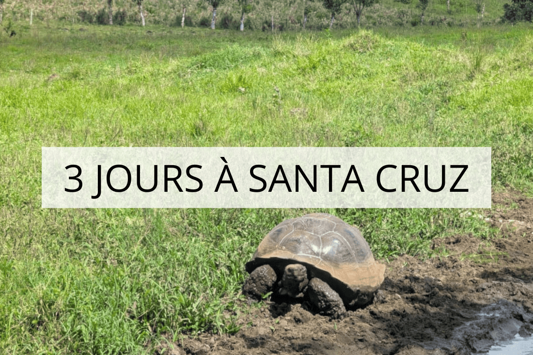 galapagos en famille