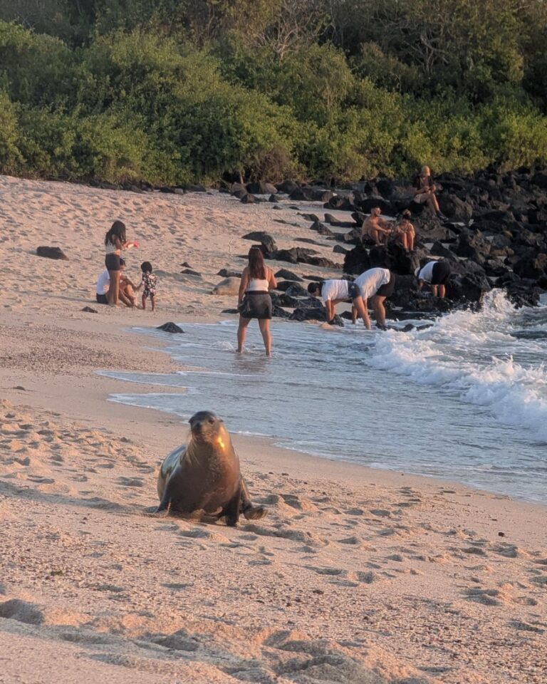 combien coûte un voyage aux galapagos ?