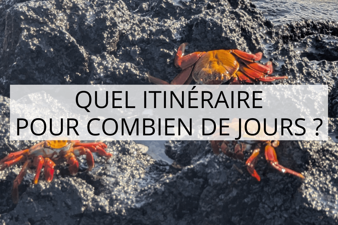 galapagos en famille