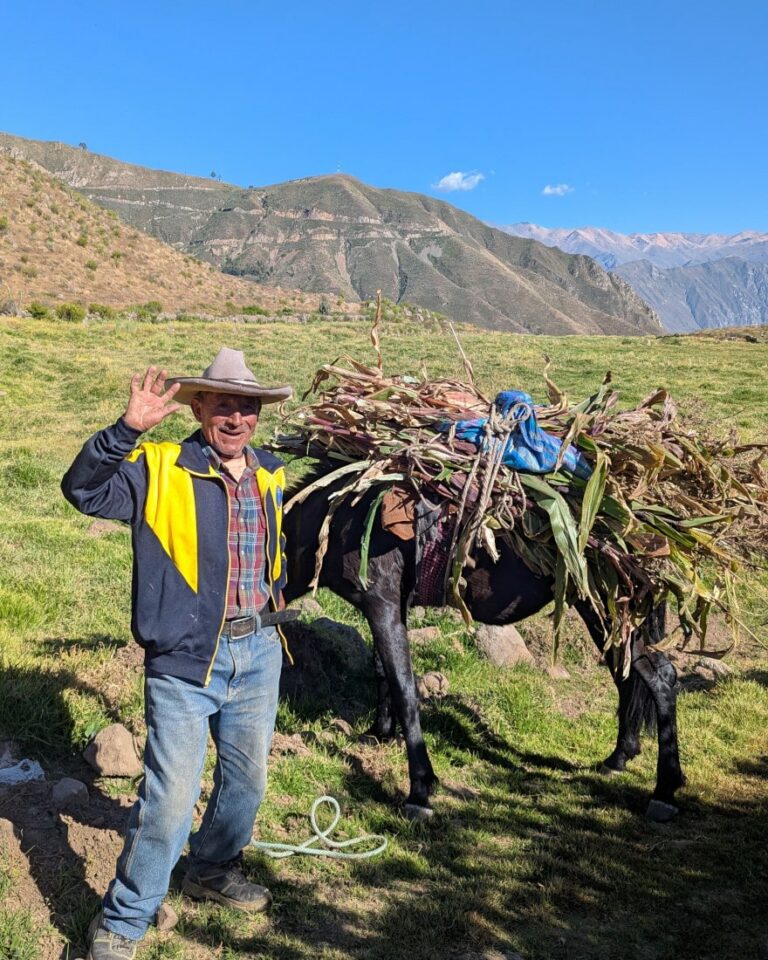 canyon de colca en famille