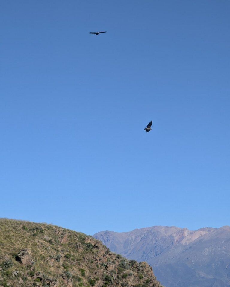 canyon de colca en famille