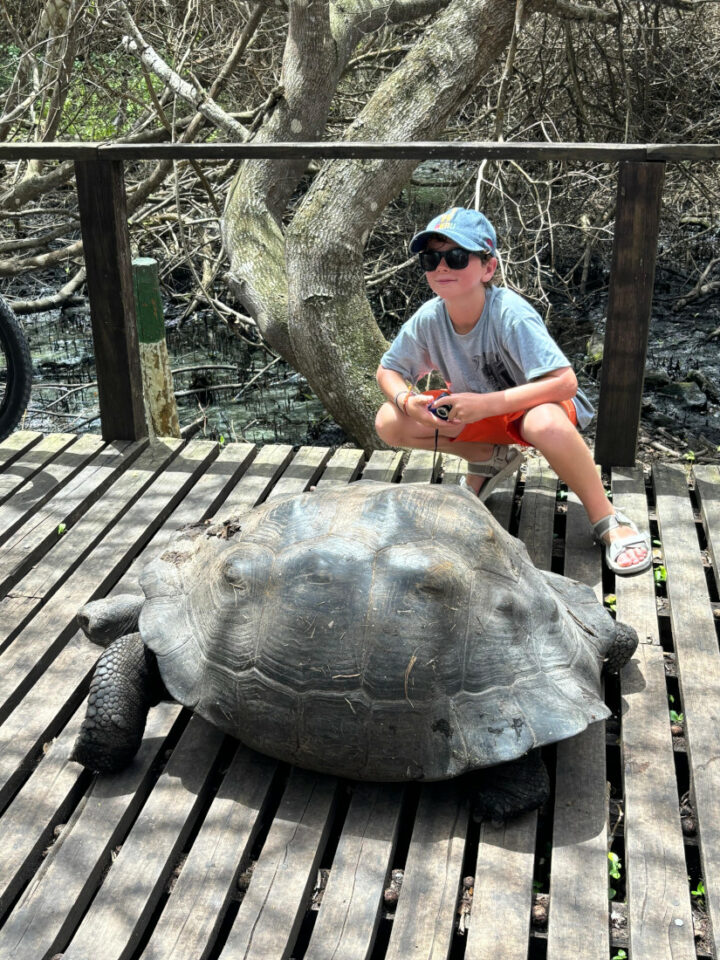visiter Isabela en famille 11 Parents-voyageurs-Blog & podcast
