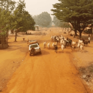 traverser l'afrique en 4X4 avec sa mère