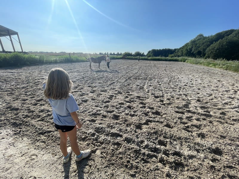 week-end à la ferme en famille un lit au pré baie de somme