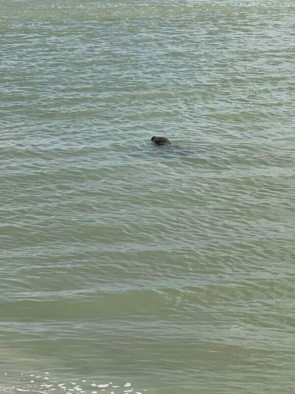 baie de somme avec les enfants