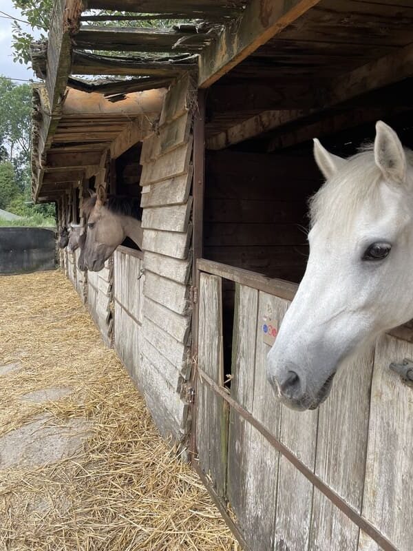weekend à la ferme équestre en famille