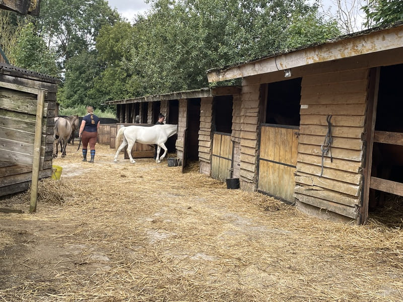 weekend à la ferme équestre en famille