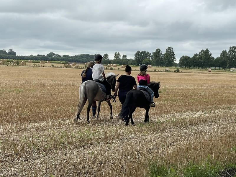 weekend à la ferme équestre en famille