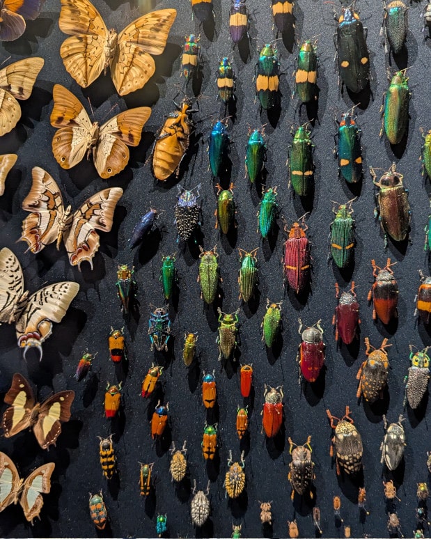 visiter lyon avec des enfants